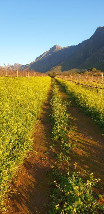 Sonklip Hotell Stellenbosch Exteriör bild