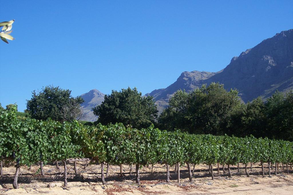 Sonklip Hotell Stellenbosch Exteriör bild