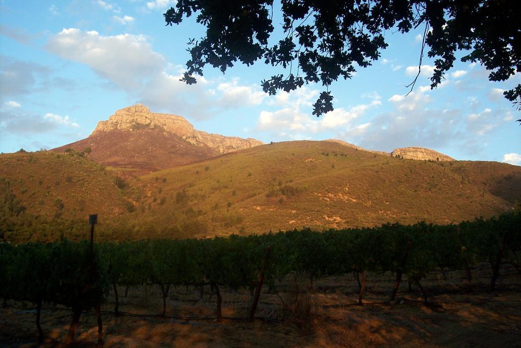 Sonklip Hotell Stellenbosch Exteriör bild