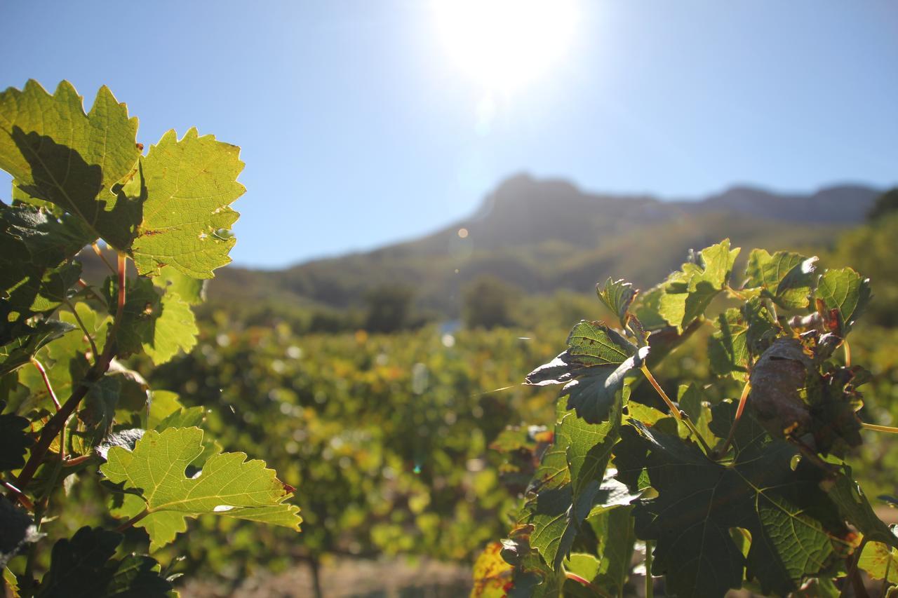 Sonklip Hotell Stellenbosch Exteriör bild