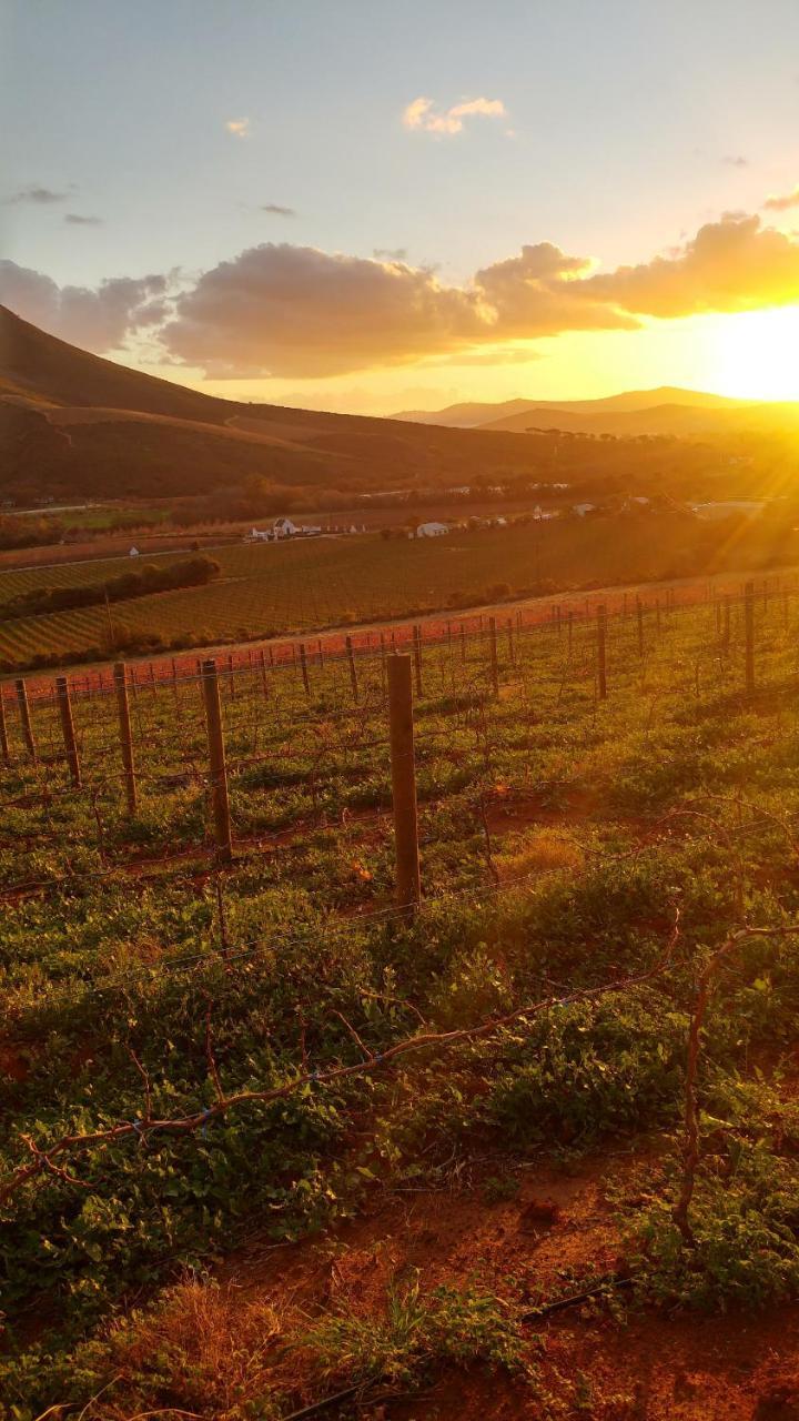 Sonklip Hotell Stellenbosch Exteriör bild