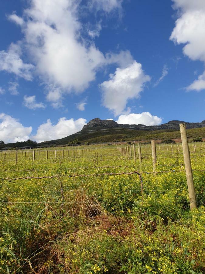 Sonklip Hotell Stellenbosch Rum bild